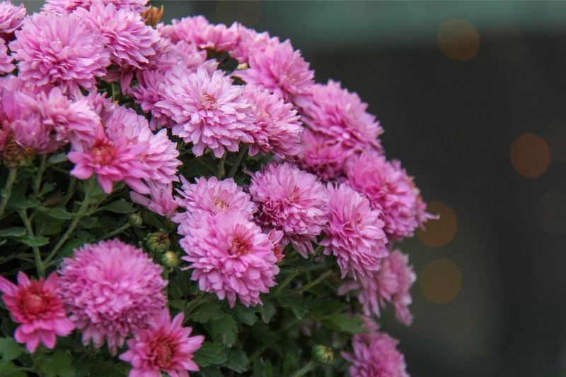 Санаторий "Кирова" г. Ялта